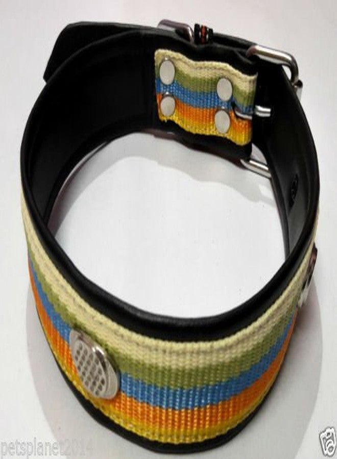 Ocean Wave Petsplanet Dog Collar with Stylish Design & Soft Pad- 5 Color Strip - Image 5